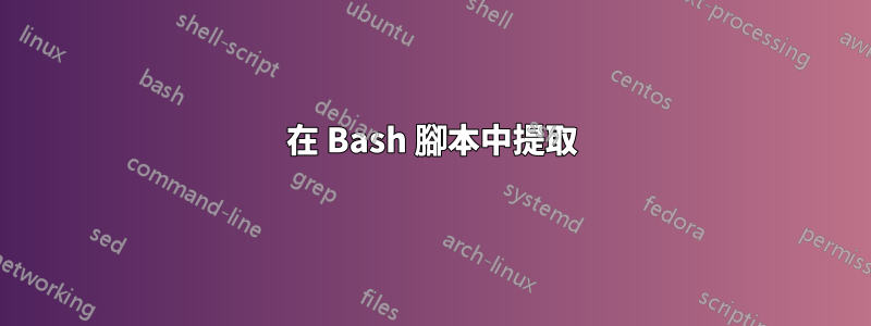 在 Bash 腳本中提取