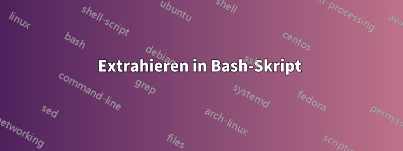 Extrahieren in Bash-Skript