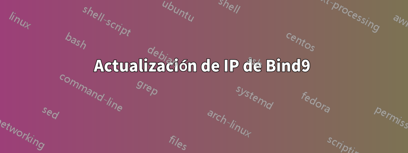 Actualización de IP de Bind9