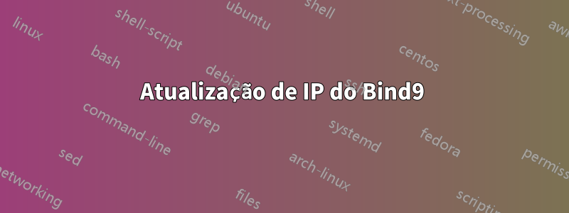 Atualização de IP do Bind9