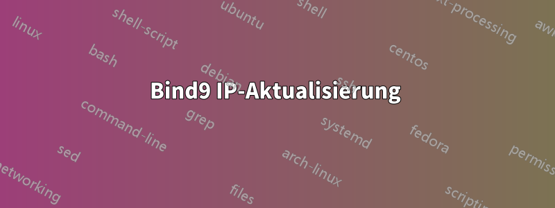 Bind9 IP-Aktualisierung