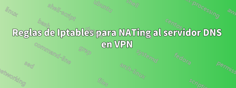 Reglas de Iptables para NATing al servidor DNS en VPN