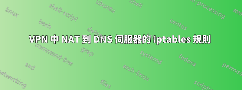 VPN 中 NAT 到 DNS 伺服器的 Iptables 規則