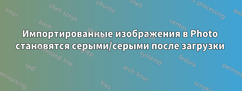 Импортированные изображения в Photo становятся серыми/серыми после загрузки
