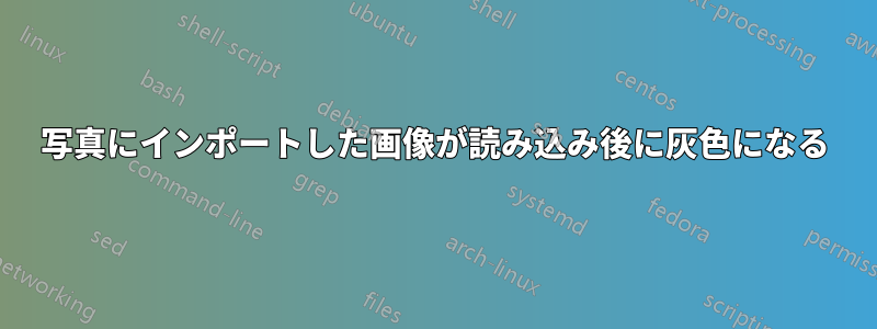 写真にインポートした画像が読み込み後に灰色になる