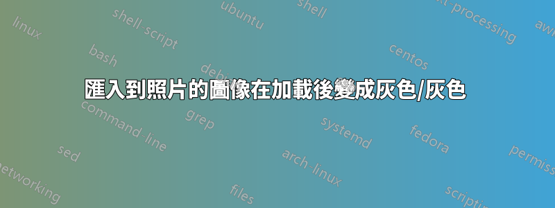 匯入到照片的圖像在加載後變成灰色/灰色