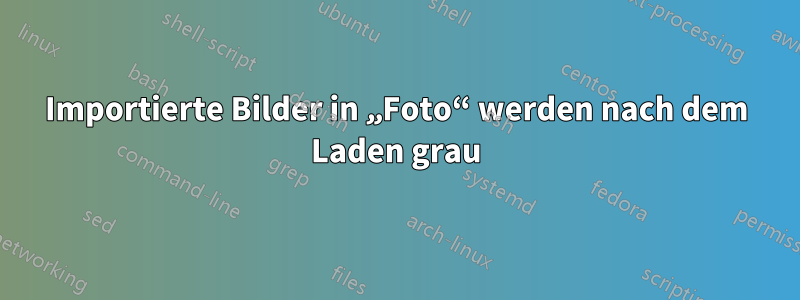 Importierte Bilder in „Foto“ werden nach dem Laden grau