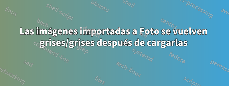 Las imágenes importadas a Foto se vuelven grises/grises después de cargarlas