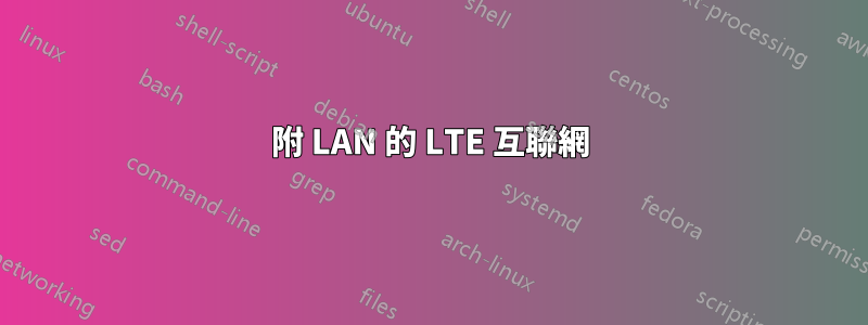 附 LAN 的 LTE 互聯網