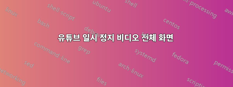 유튜브 일시 정지 비디오 전체 화면