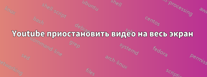 Youtube приостановить видео на весь экран