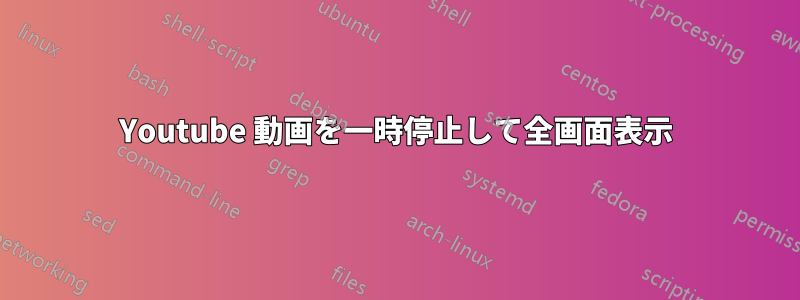 Youtube 動画を一時停止して全画面表示