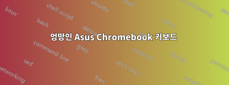 엉망인 Asus Chromebook 키보드