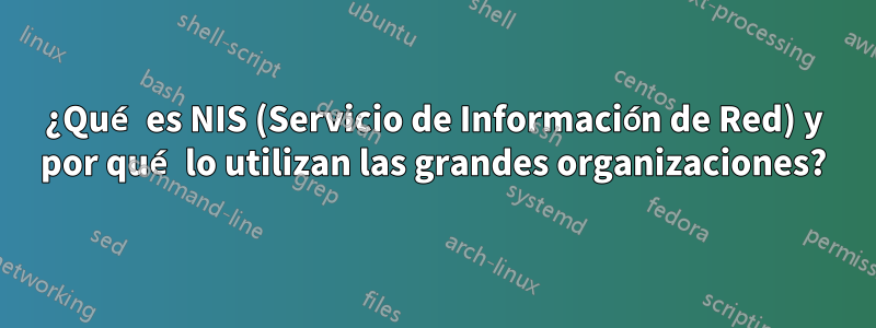 ¿Qué es NIS (Servicio de Información de Red) y por qué lo utilizan las grandes organizaciones?