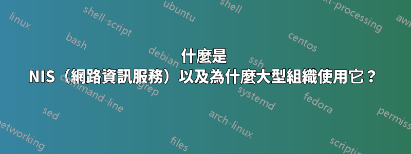 什麼是 NIS（網路資訊服務）以及為什麼大型組織使用它？
