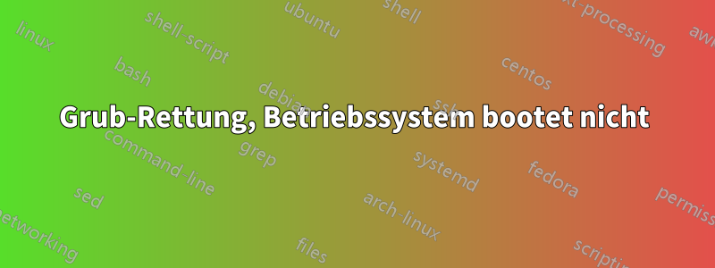 Grub-Rettung, Betriebssystem bootet nicht