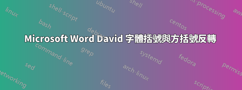 Microsoft Word David 字體括號與方括號反轉
