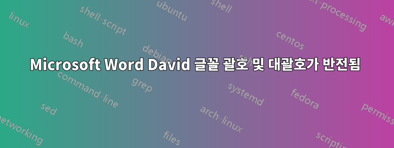Microsoft Word David 글꼴 괄호 및 대괄호가 반전됨