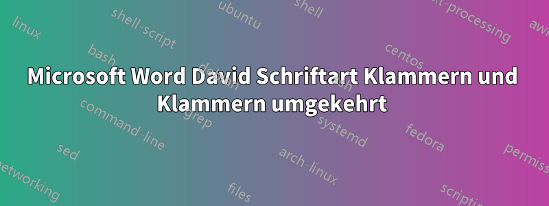 Microsoft Word David Schriftart Klammern und Klammern umgekehrt