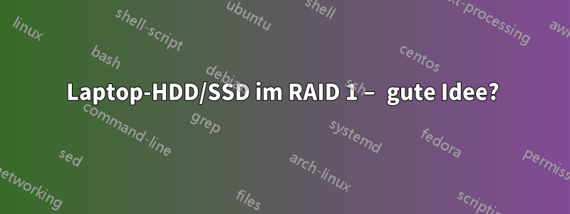 Laptop-HDD/SSD im RAID 1 – gute Idee?