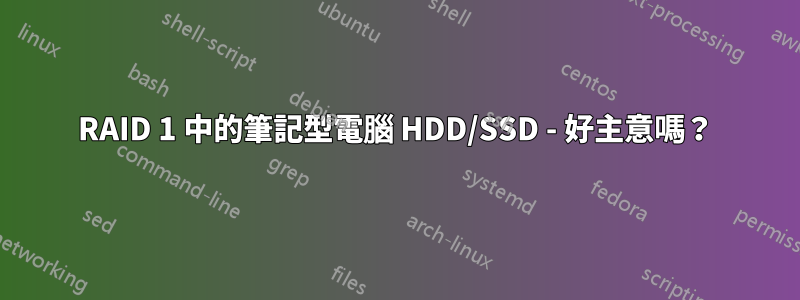 RAID 1 中的筆記型電腦 HDD/SSD - 好主意嗎？