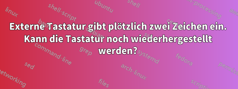 Externe Tastatur gibt plötzlich zwei Zeichen ein. Kann die Tastatur noch wiederhergestellt werden?