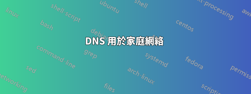 DNS 用於家庭網絡