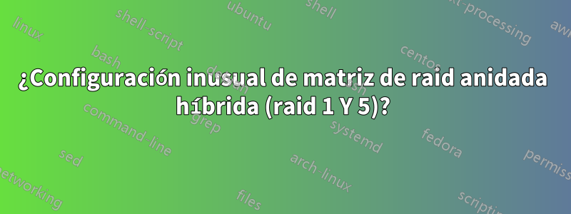 ¿Configuración inusual de matriz de raid anidada híbrida (raid 1 Y 5)?