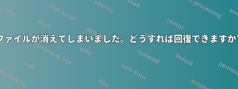 ファイルが消えてしまいました。どうすれば回復できますか?