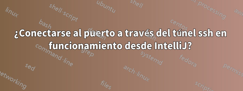 ¿Conectarse al puerto a través del túnel ssh en funcionamiento desde IntelliJ?