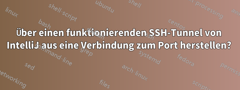 Über einen funktionierenden SSH-Tunnel von IntelliJ aus eine Verbindung zum Port herstellen?