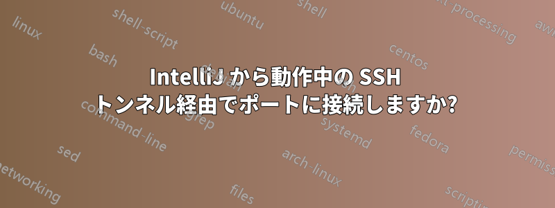 IntelliJ から動作中の SSH トンネル経由でポートに接続しますか?