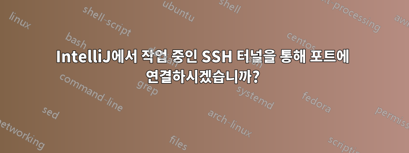 IntelliJ에서 작업 중인 SSH 터널을 통해 포트에 연결하시겠습니까?