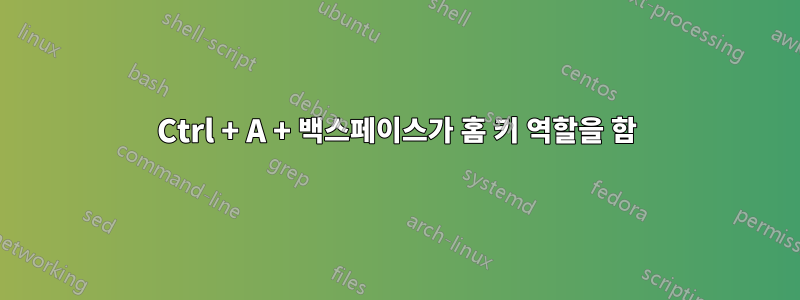 Ctrl + A + 백스페이스가 홈 키 역할을 함