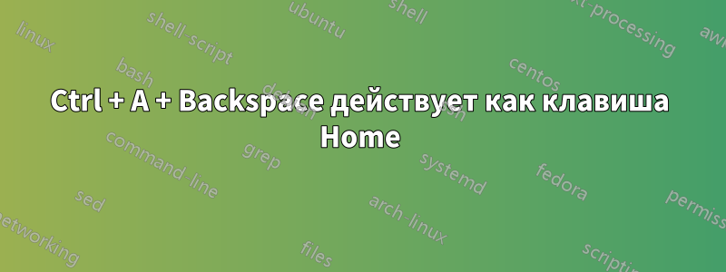 Ctrl + A + Backspace действует как клавиша Home