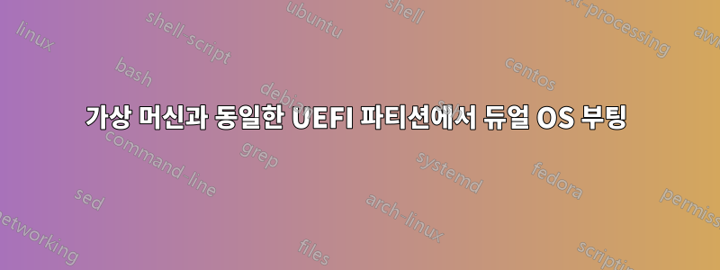 가상 머신과 동일한 UEFI 파티션에서 듀얼 OS 부팅