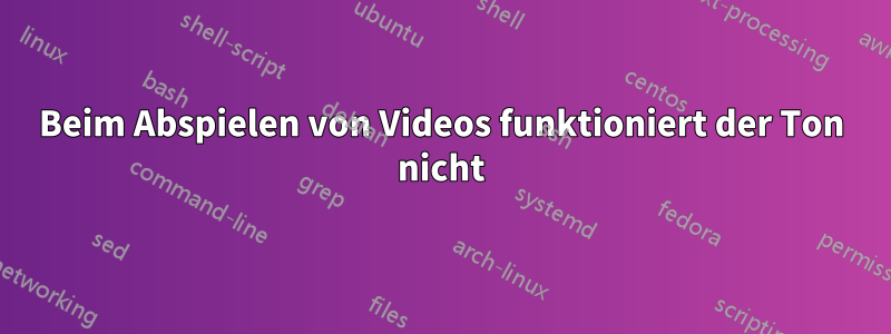 Beim Abspielen von Videos funktioniert der Ton nicht