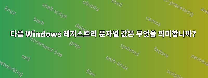 다음 Windows 레지스트리 문자열 값은 무엇을 의미합니까?