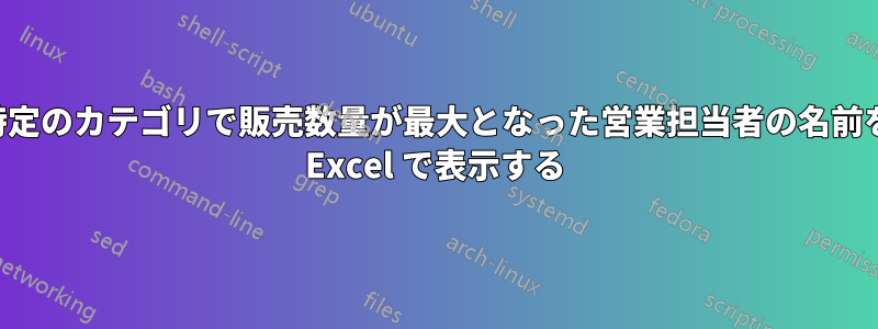 特定のカテゴリで販売数量が最大となった営業担当者の名前を Excel で表示する