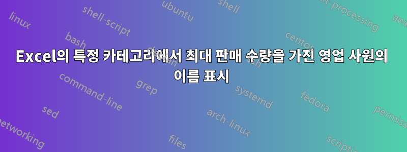 Excel의 특정 카테고리에서 최대 판매 수량을 가진 영업 사원의 이름 표시