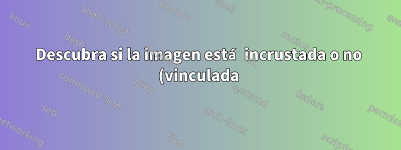 Descubra si la imagen está incrustada o no (vinculada) en Powerpoint