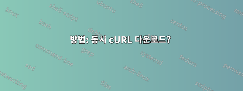 방법: 동시 cURL 다운로드?