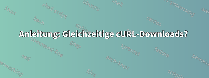 Anleitung: Gleichzeitige cURL-Downloads?