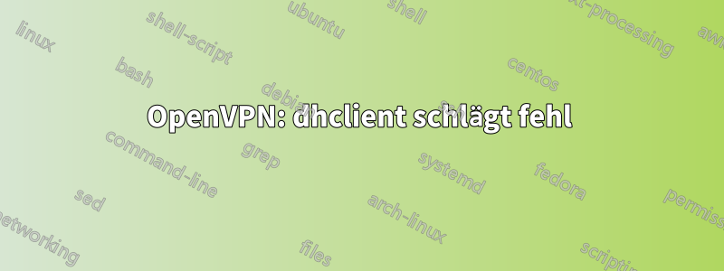 OpenVPN: dhclient schlägt fehl