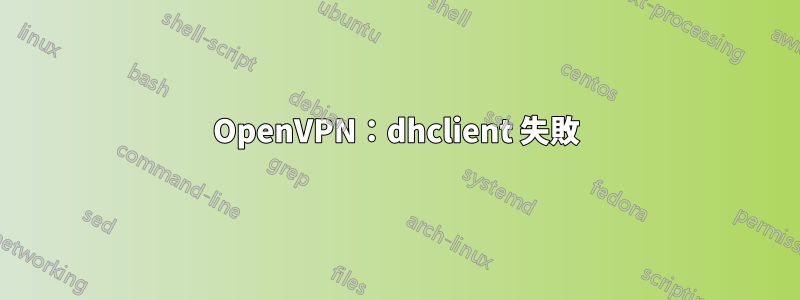 OpenVPN：dhclient 失敗