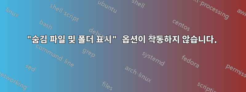 "숨김 파일 및 폴더 표시" 옵션이 작동하지 않습니다.