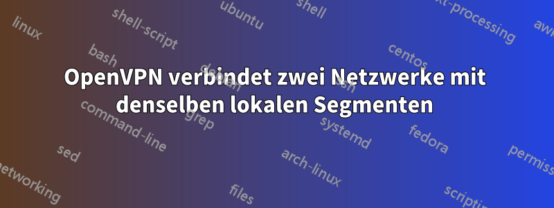 OpenVPN verbindet zwei Netzwerke mit denselben lokalen Segmenten