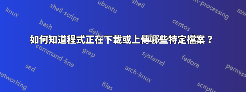 如何知道程式正在下載或上傳哪些特定檔案？