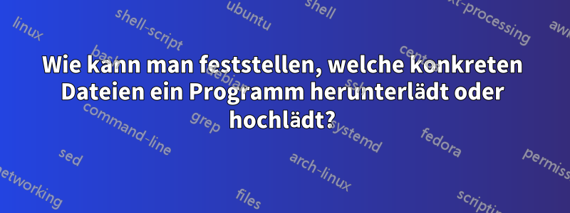 Wie kann man feststellen, welche konkreten Dateien ein Programm herunterlädt oder hochlädt?