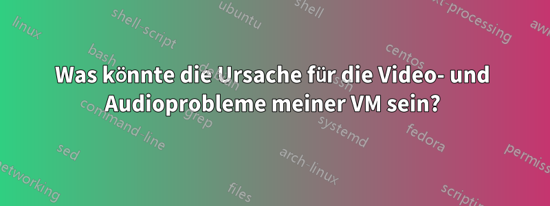 Was könnte die Ursache für die Video- und Audioprobleme meiner VM sein?